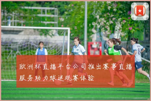 欧洲杯直播平台公司推出赛事直播服务助力球迷观赛体验