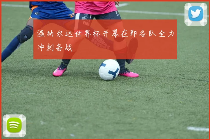 温纳尔达世界杯开幕在即各队全力冲刺备战