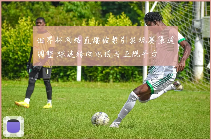 世界杯网络直播被禁引发观赛渠道调整 球迷转向电视与正规平台