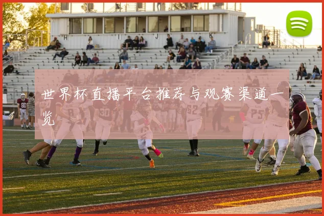 世界杯直播平台推荐与观赛渠道一览